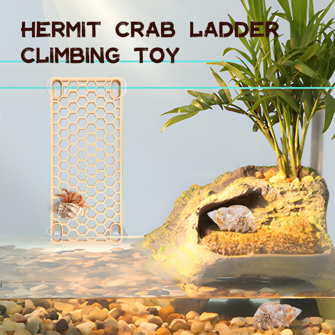 Hermit Crab Climbing Ladder Ramp Toy for Tank Habitat Decor