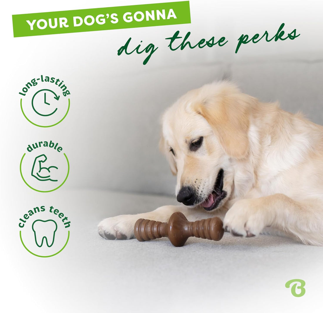 Benebone Dog Chew Toy for Aggressive Chewers, Real Bacon, Medium