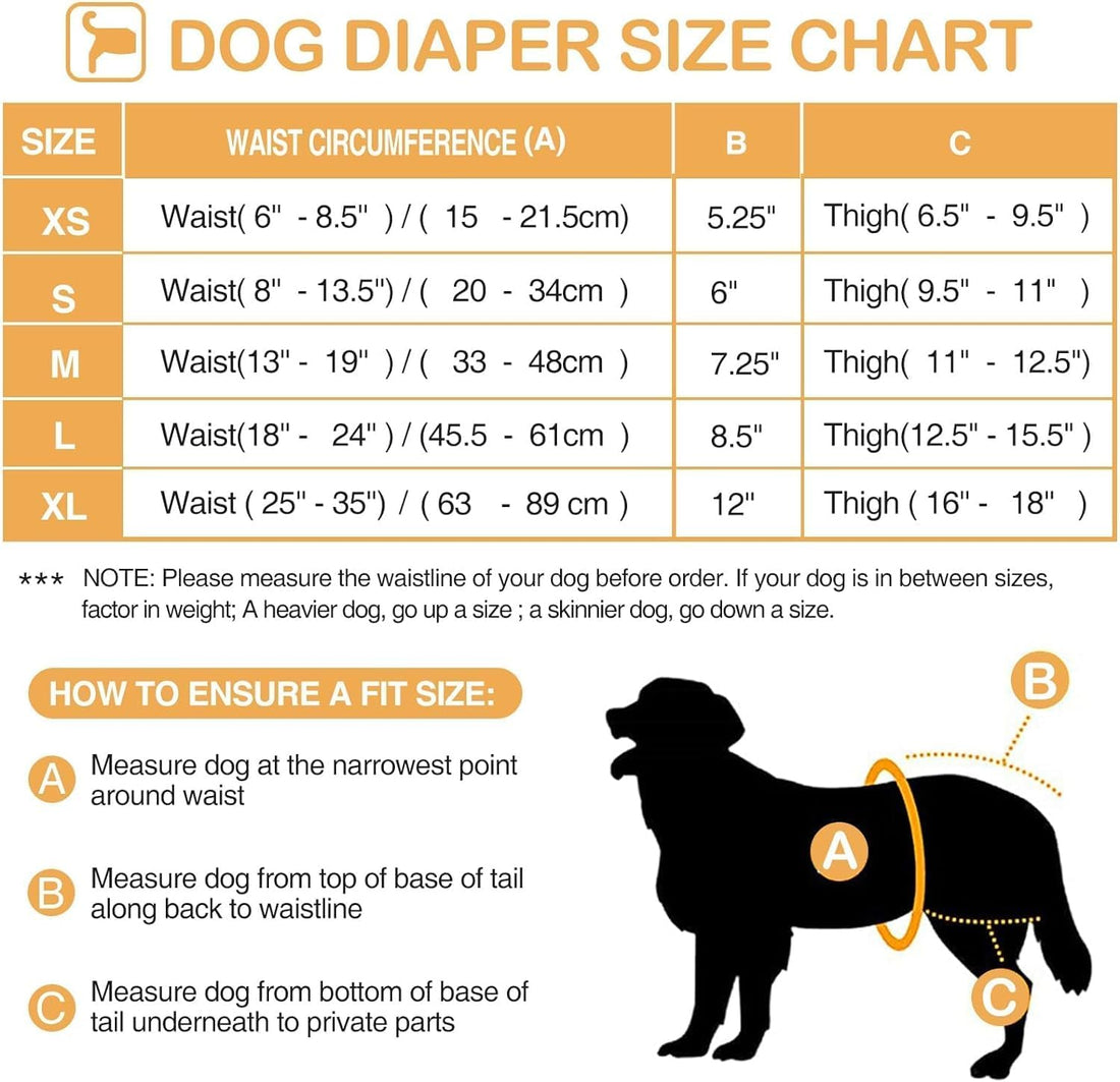 Avont 3 Pack Washable Female Dog Diaper with Suspender