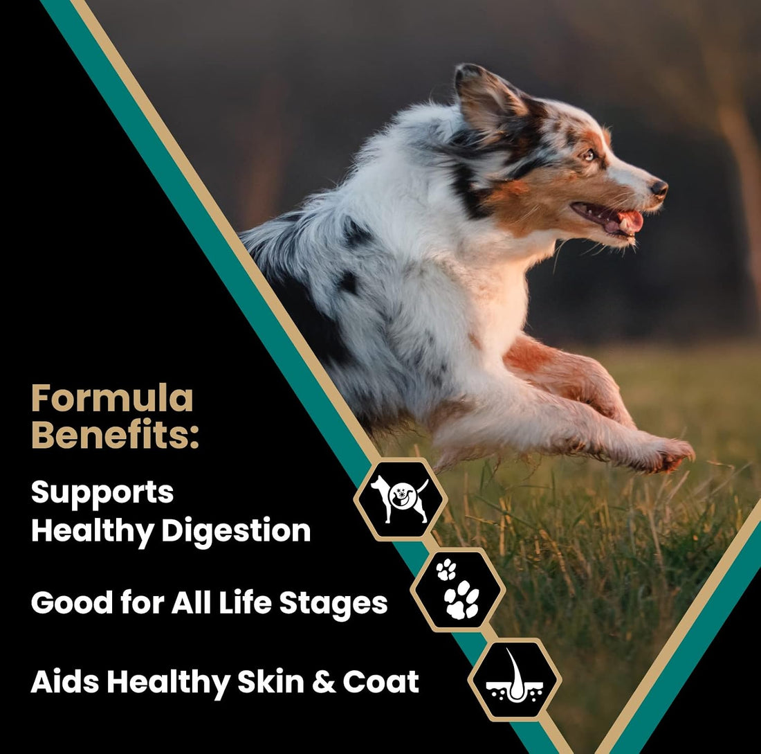 VICTOR Select Dry Dog Food - Ocean Fish Formula with Salmon Kibble