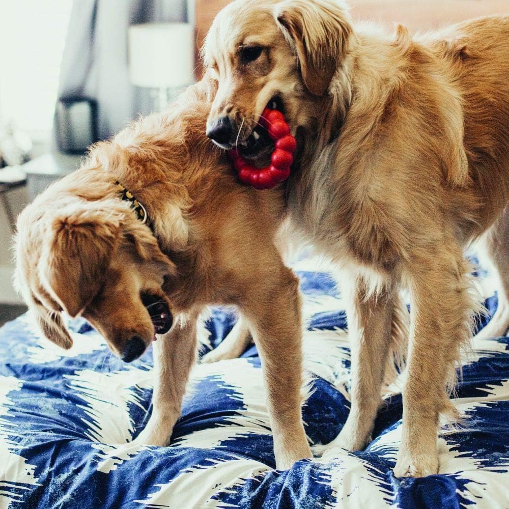 KONG Ring - Natural Rubber Ring Toy for Healthy Chewing Habits