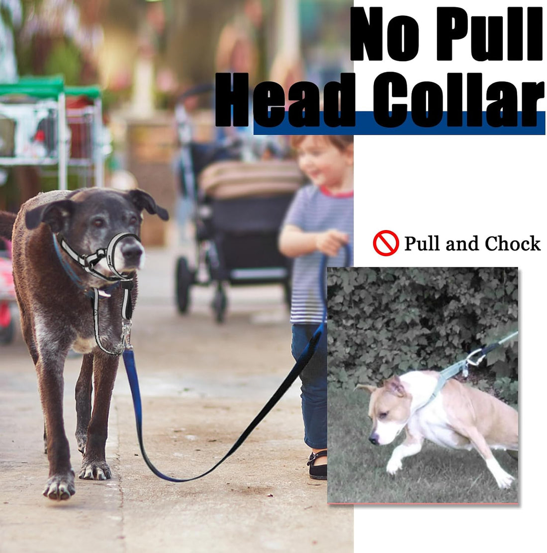 BARKLESS Reflective Head Collar, No Pull Collar for Small Medium Dogs