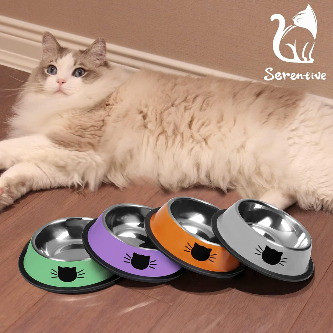 Serentive 2 Pcs Non-Slip Stainless Steel Small Cat Food Bowls