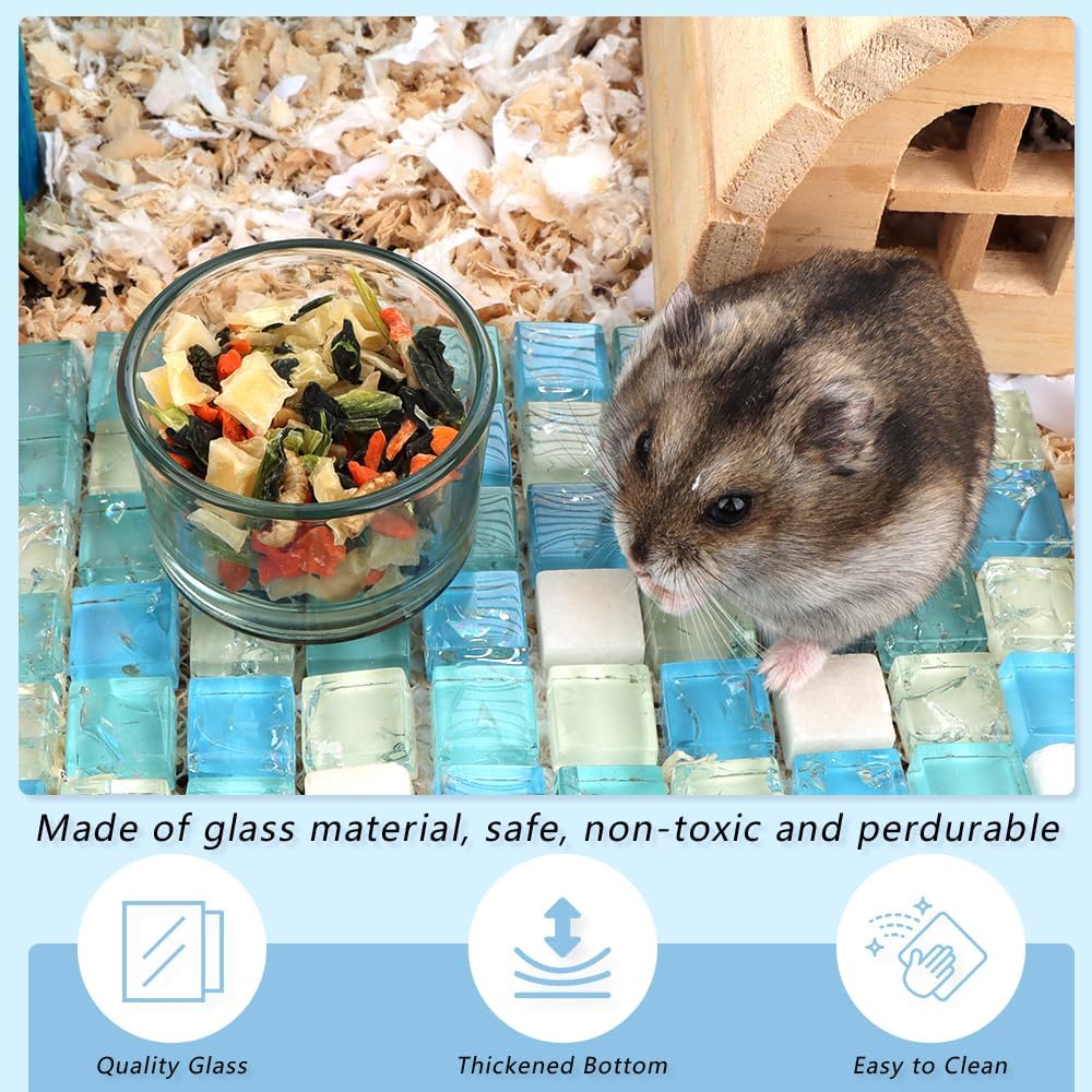 2 Pcs Hamster Food and Water Bowl Glass Anti-Turning Transparent Dish
