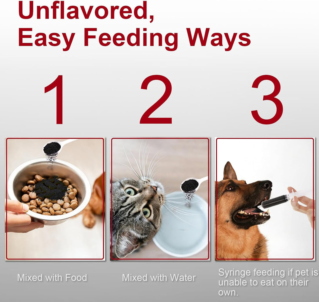 Activated Charcoal Powder for Dogs Cats
