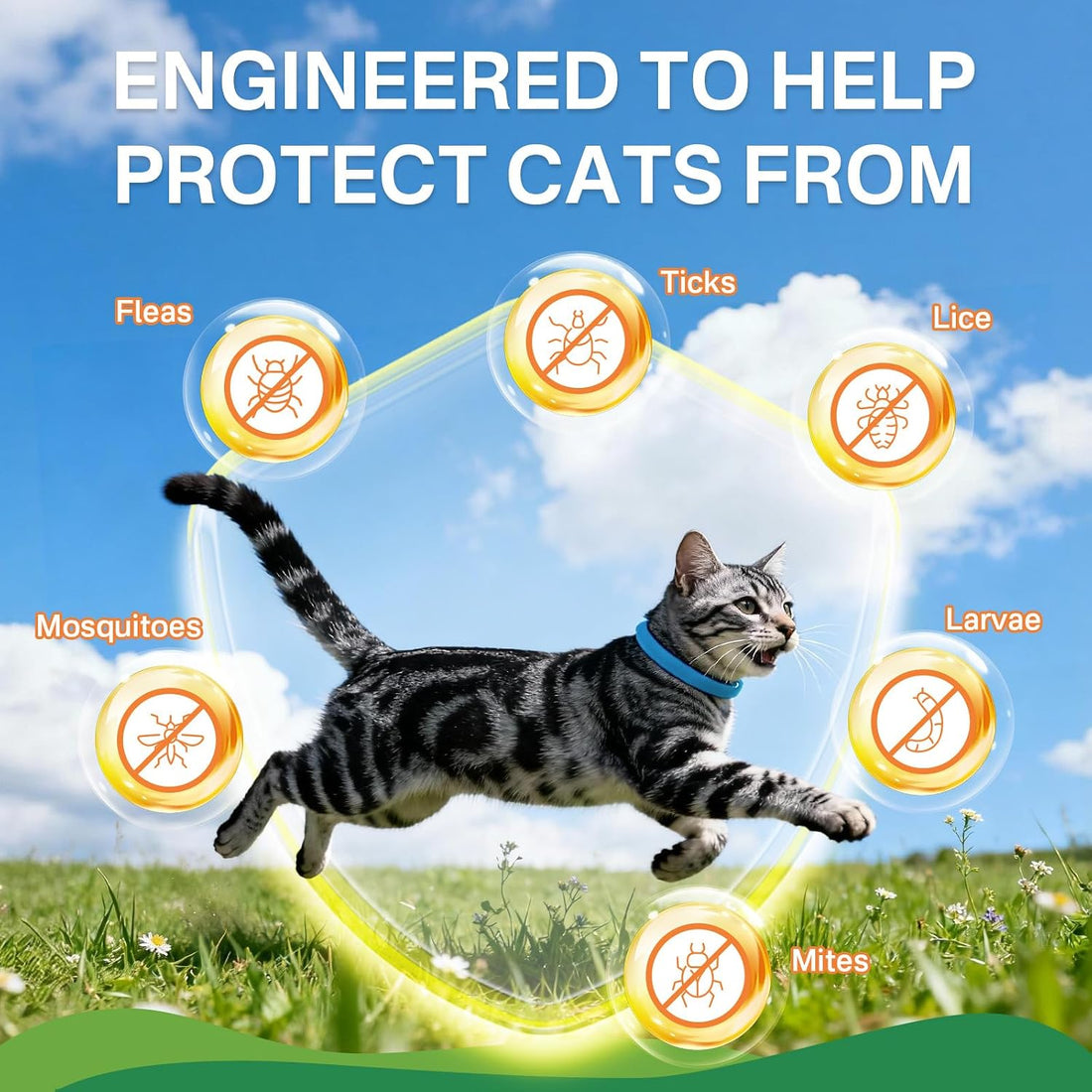Puyrzoe Flea Collar for Cats 4 Pack