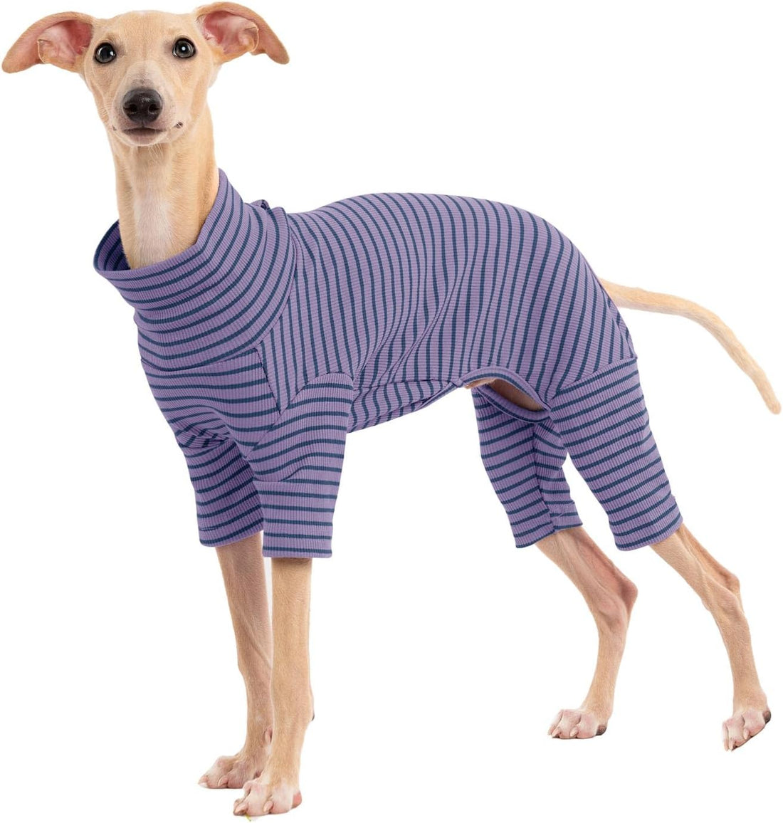 Dog Sweaters for Small Dogs Girls Boys