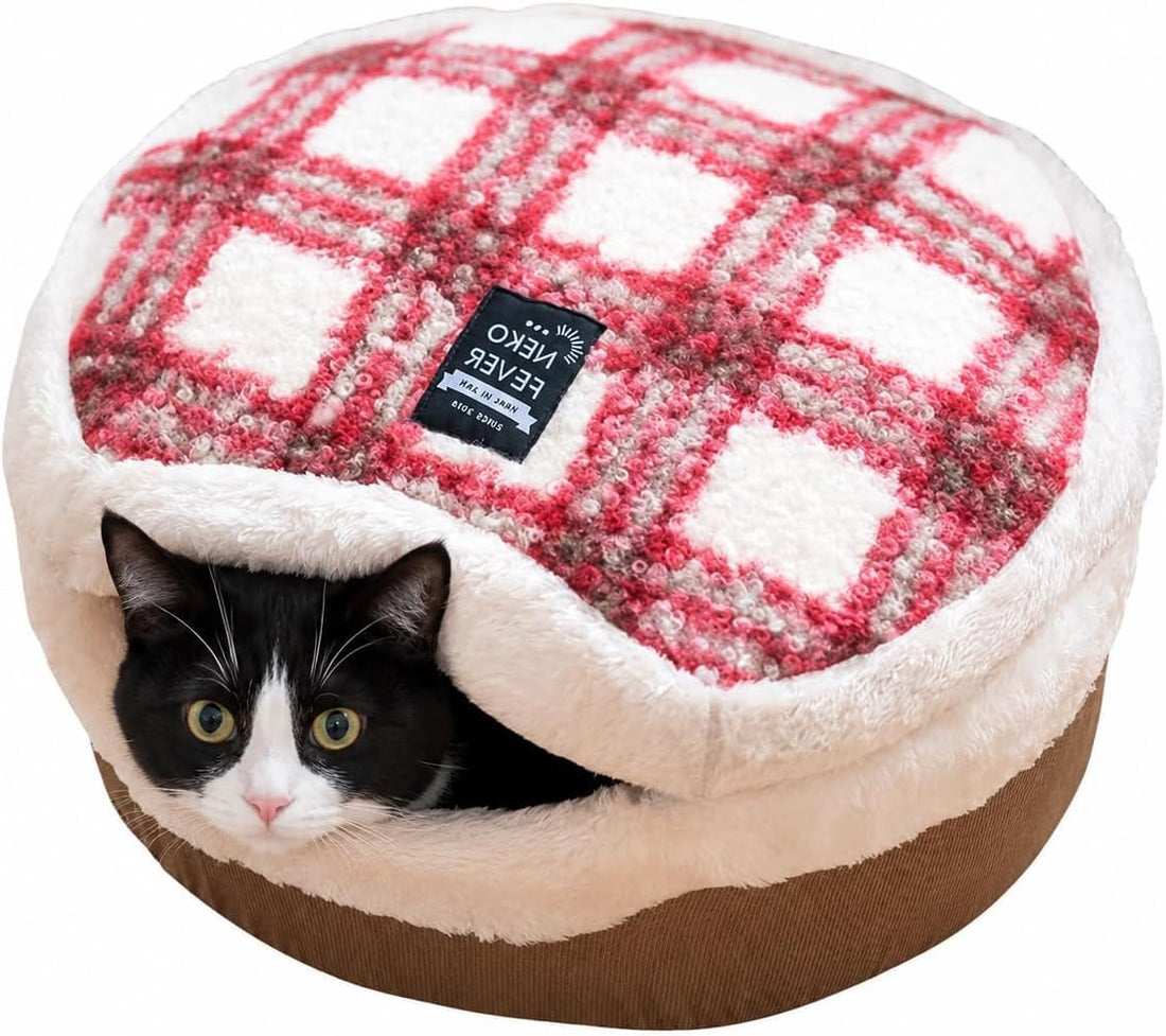 Cat Bed Cave - Enclosed Hideaway with Detachable Lid for Kitten