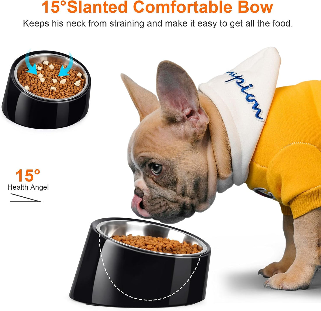 Tilted Dog Bowl Non-Slip & Non-Spill Pet Feeder with Elevated