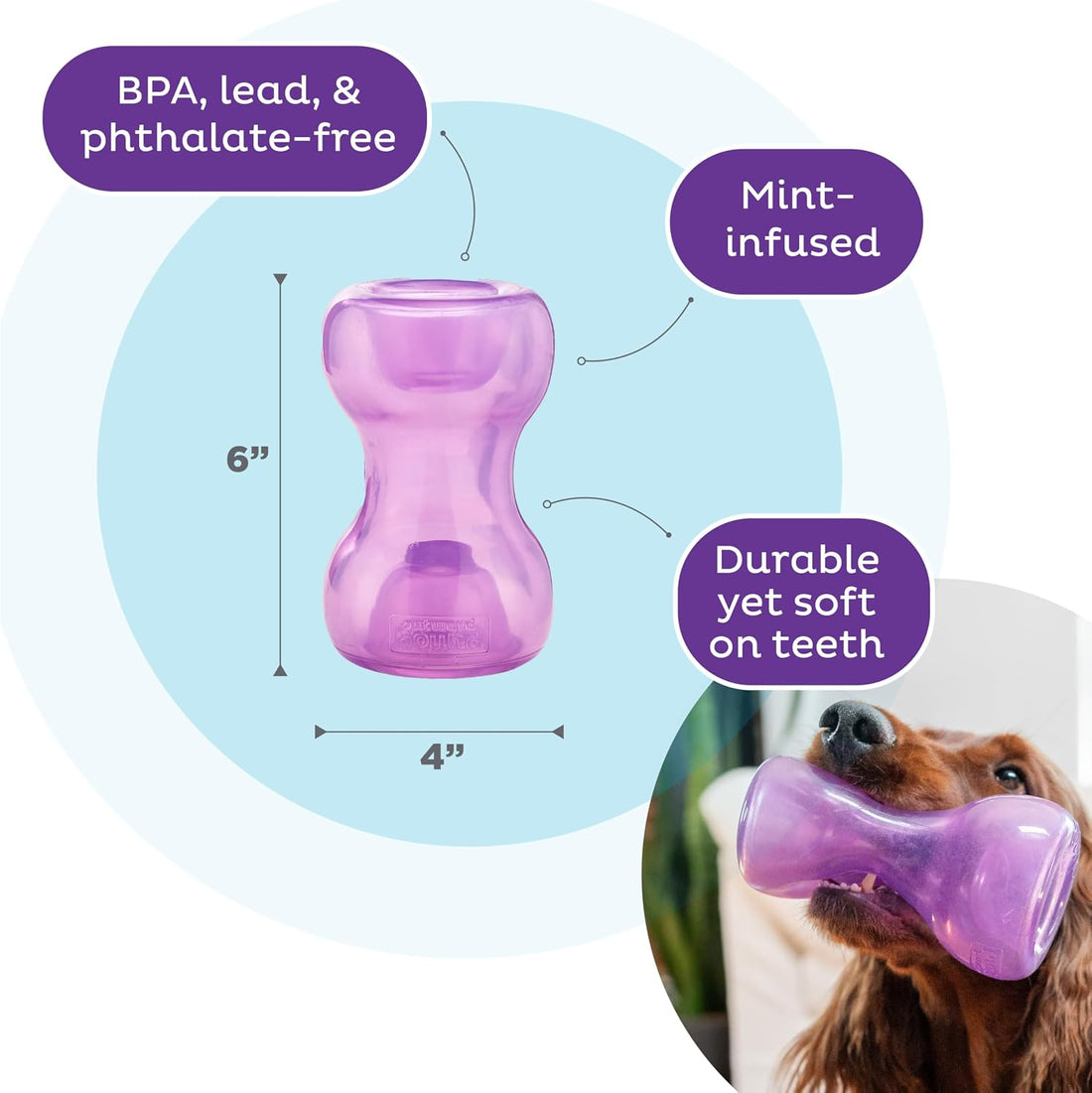 Outward Hound Double Snoop Interactive Treat Dispensing Dog Toy