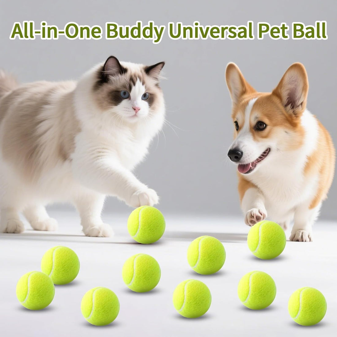 Automatic Dog Ball Launcher: Upgraded Auto/Manual Pet Ball Thrower