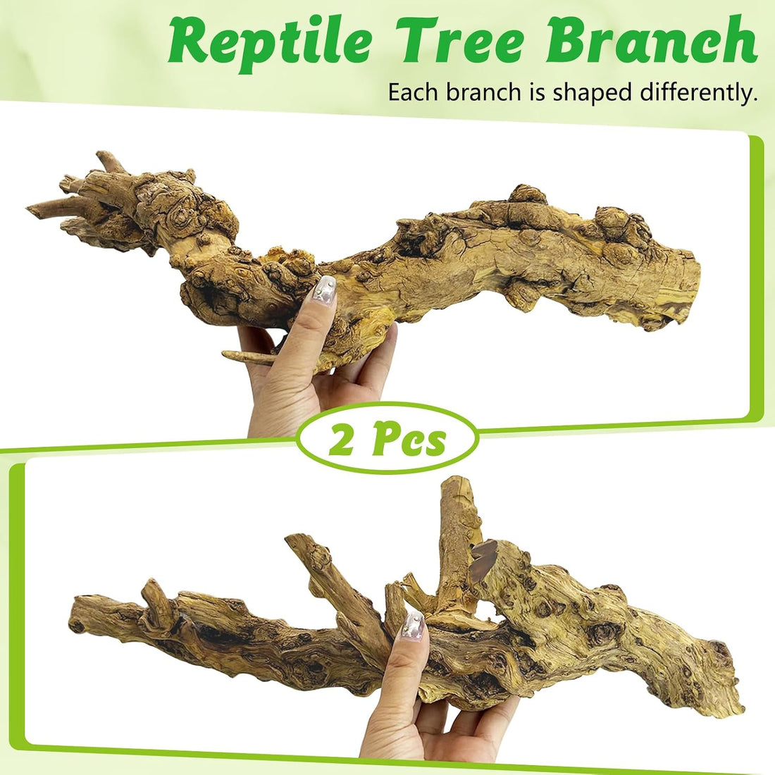 Reptile Branch Decor, Snake Climbing Wood Branches, Terrarium Logs