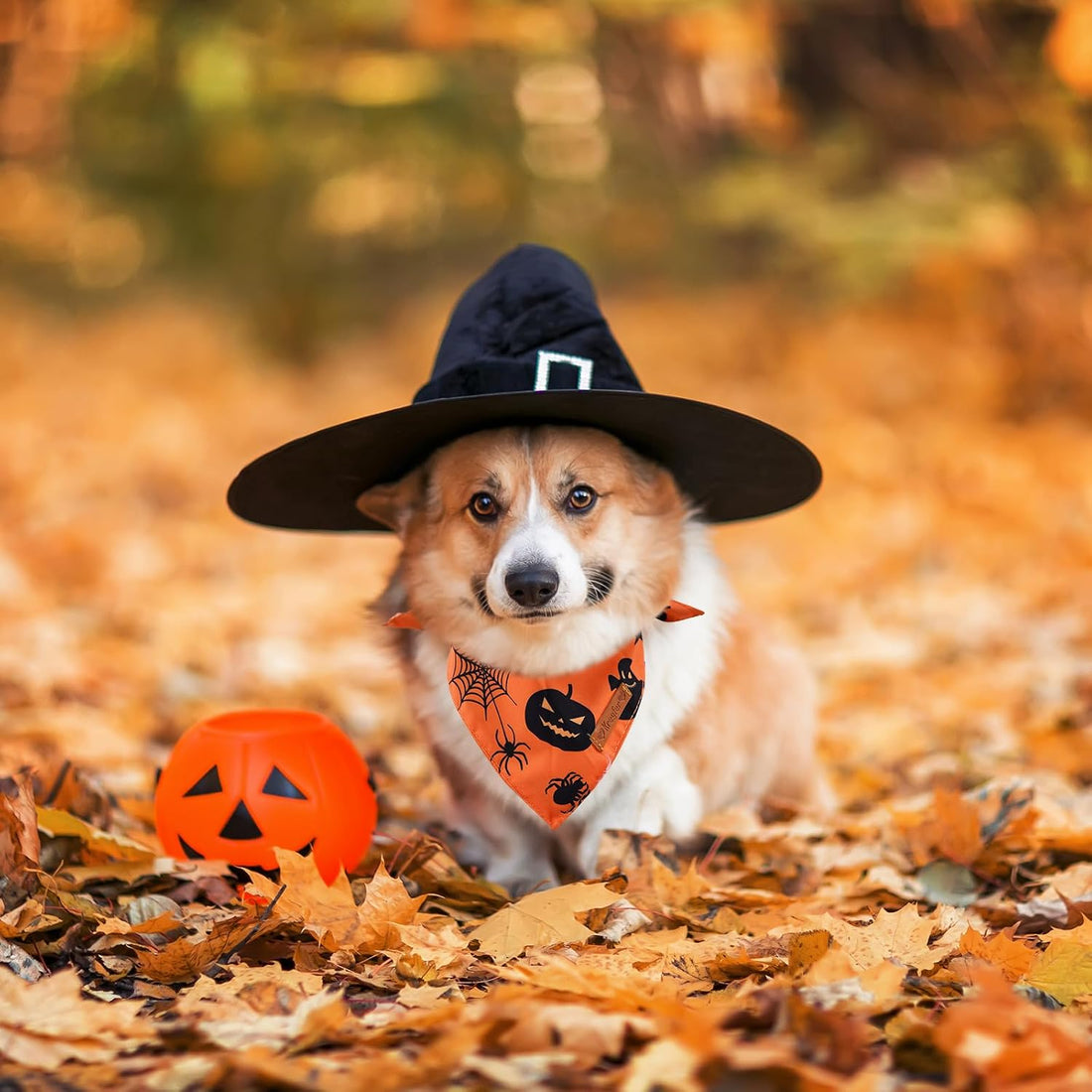 2 Pieces Halloween Dog Bandanas