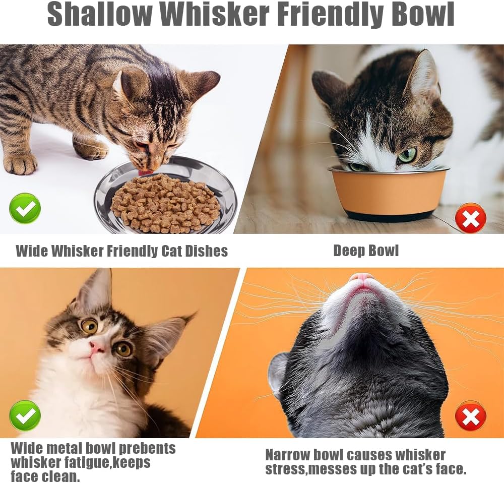 Stainless Steel Cat Bowls Food Dishes for Indoor Cats Cats Shallow