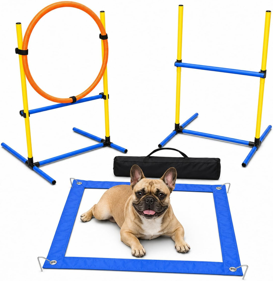Dog Agility Equipment - Dog Obstacle Course Backyard Set