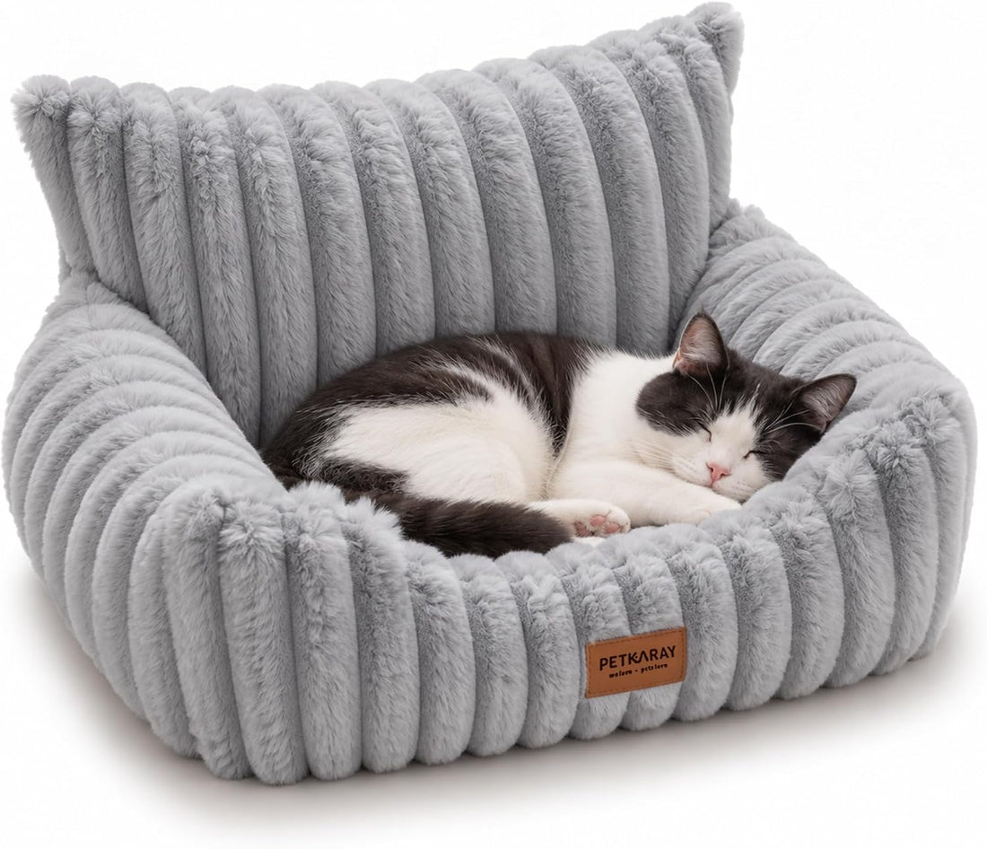 PETKARAY Cat Couch Bed, 24'' Soft Sofa for Indoor Cats