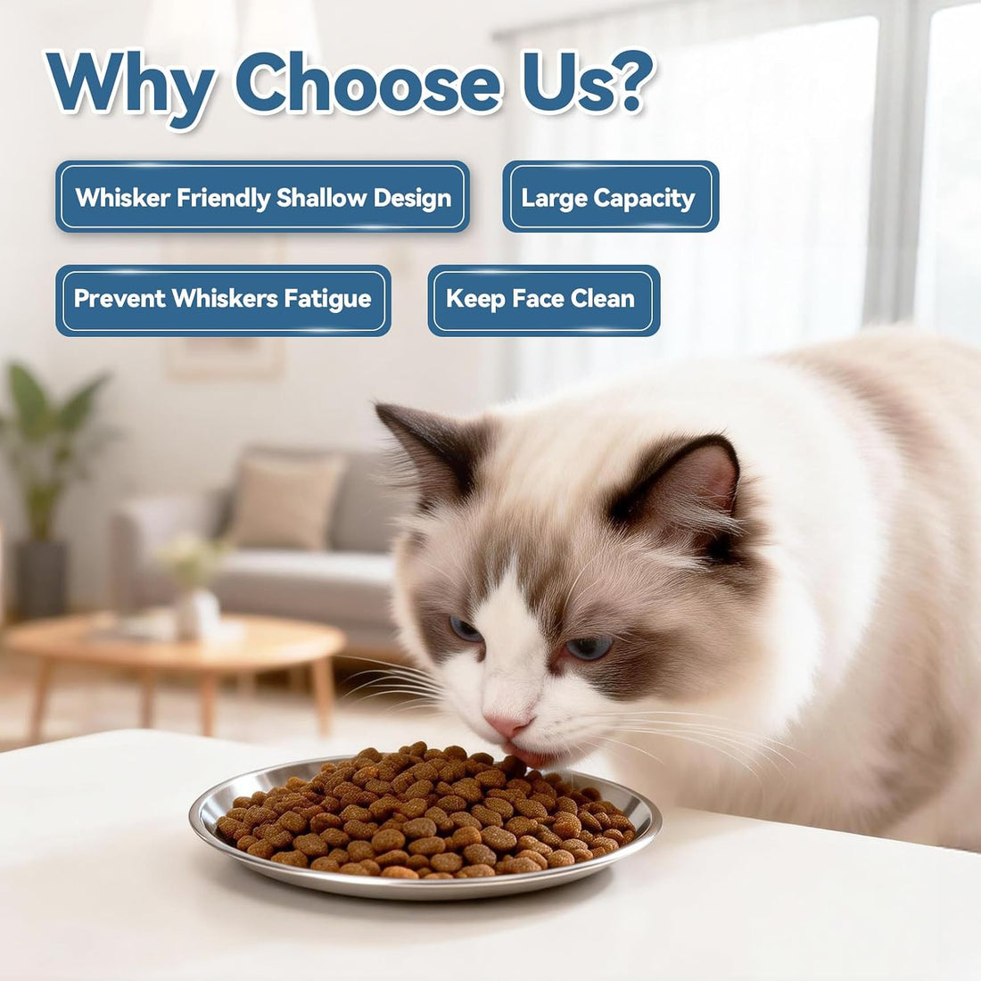 8 Pack Stainless Steel Cat Food Bowls