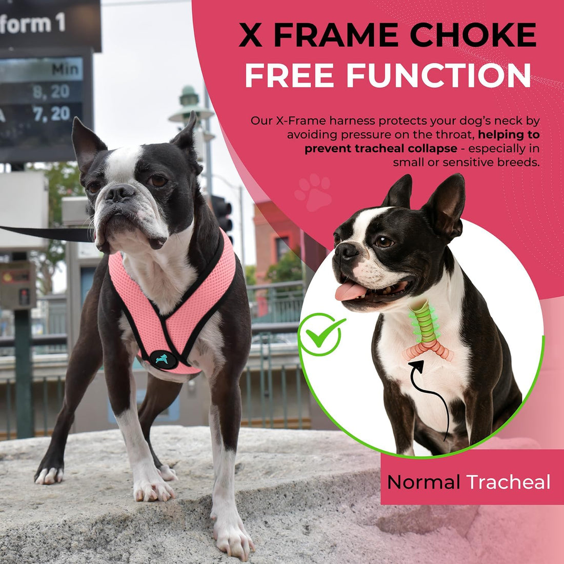 Gooby Comfort X Head in Harness - Pink