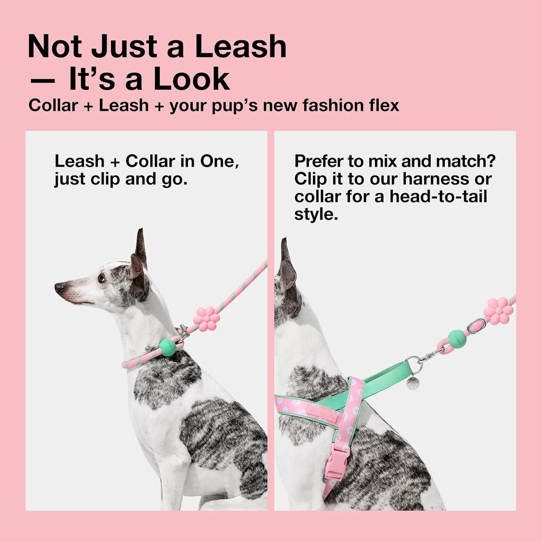 VETRESKA Hands-Free Dog Leash