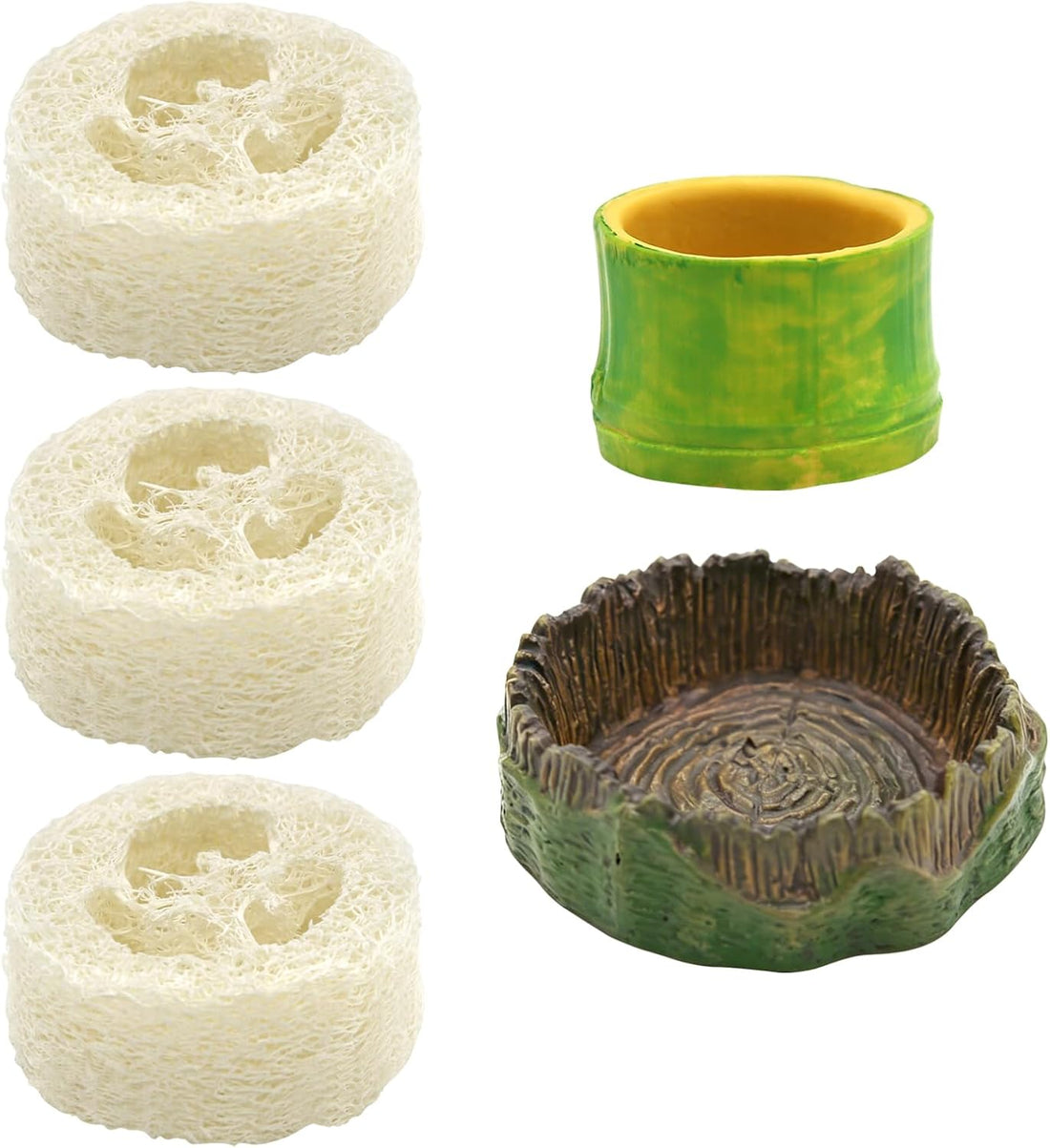 Cockroach Water Basin & 3 Loofah Set