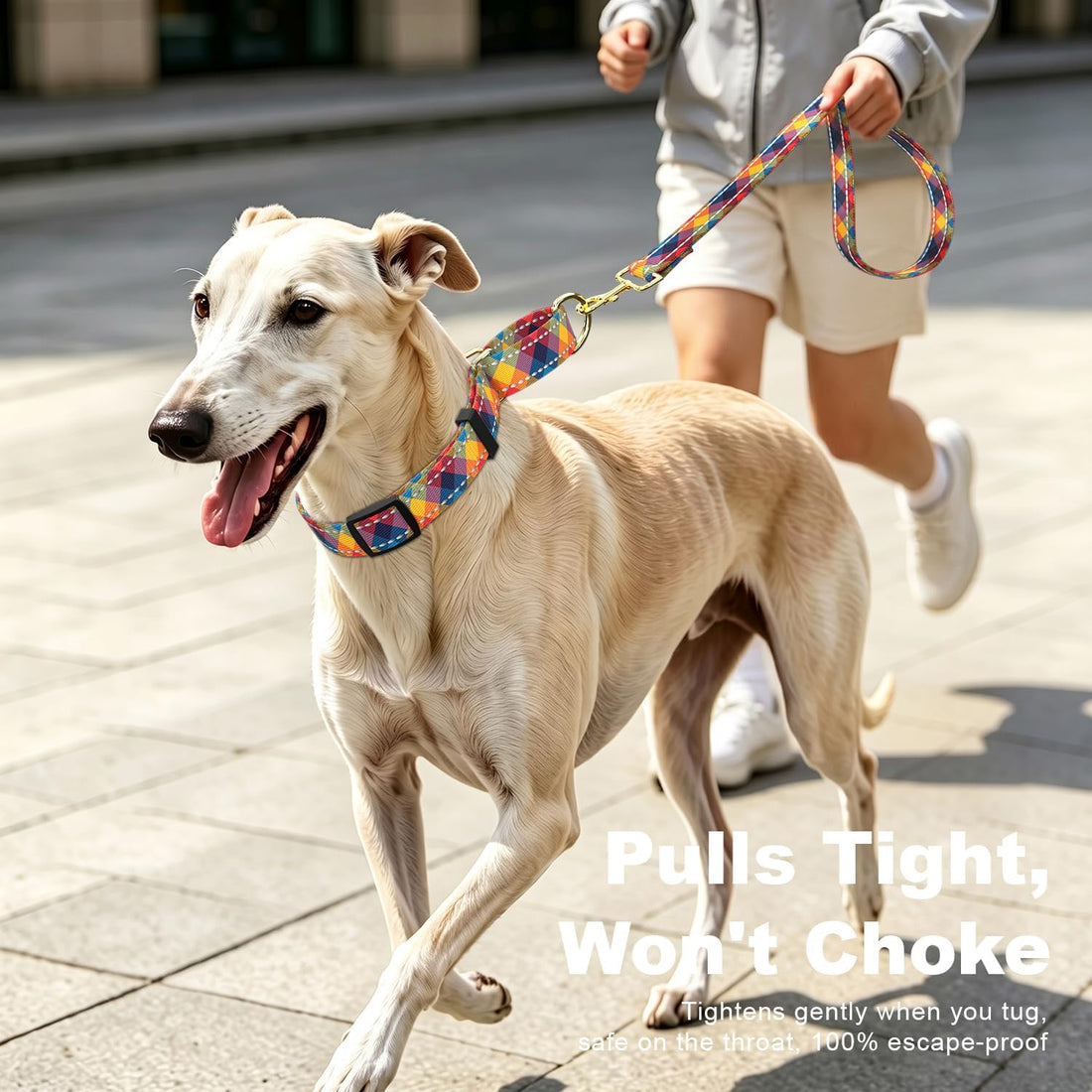 Martingale Dog Collar for Large Dogs