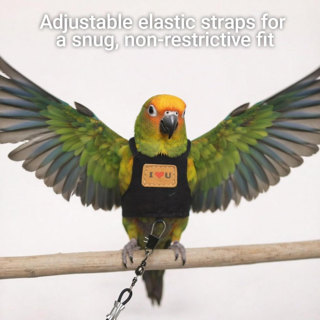 Bird Flight Harness Vest, Adjustable Training Design Anti-Bite