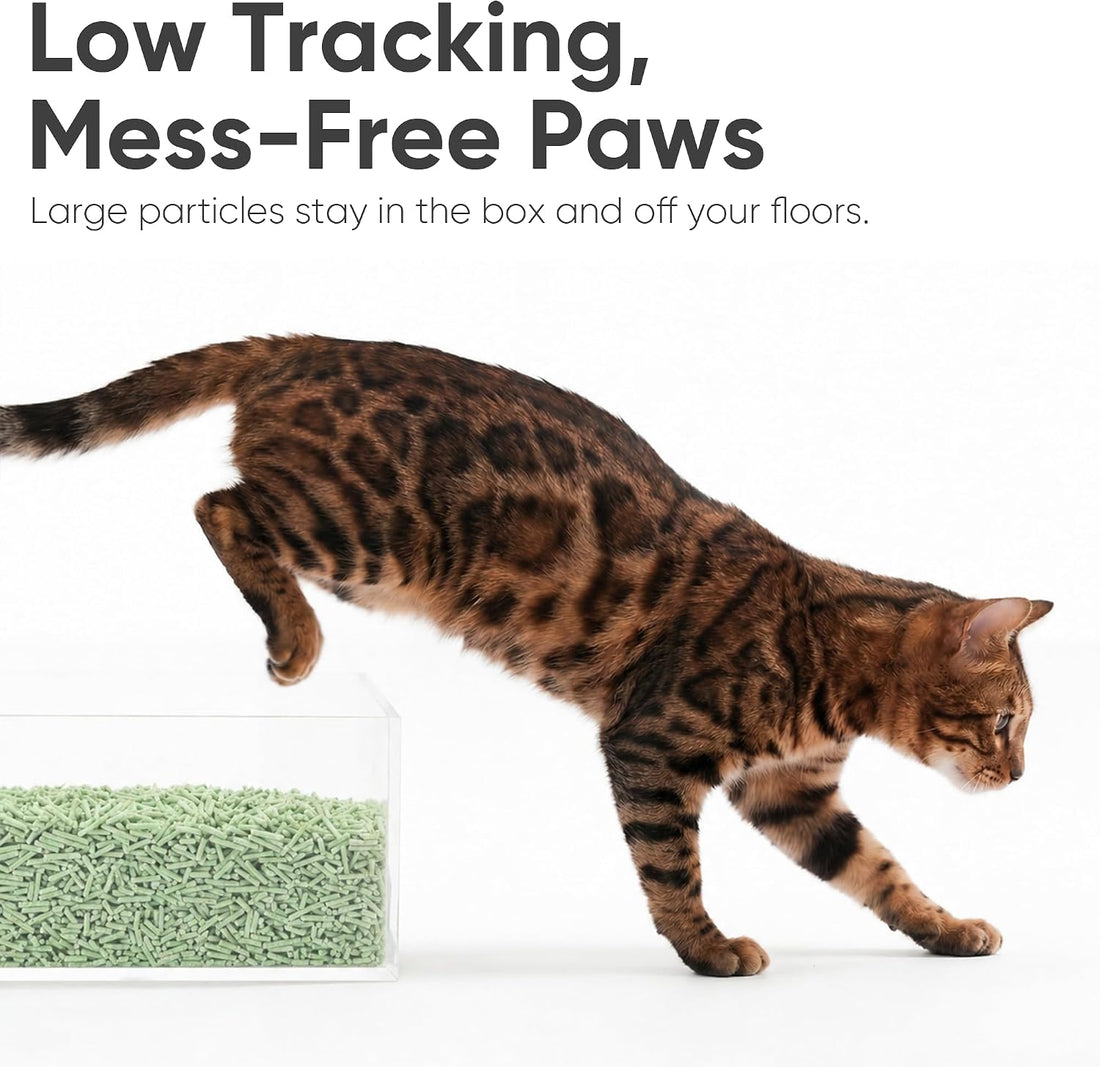 FUKUMARU Tofu Cat Litter, Green Tea Scented, Clumping, Odor Control