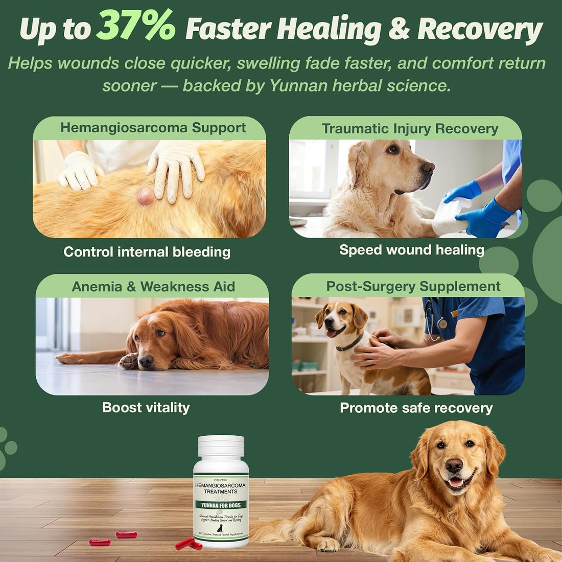 Yunnan Sanqi Capsules for Dogs, Natural Quick Stop Bleeding