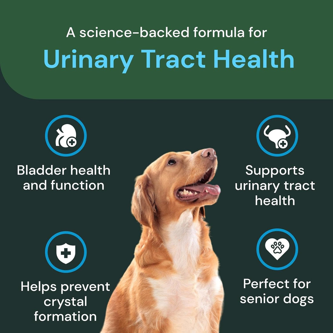 Vetriscinece Veterinary Strength UT Health Chews
