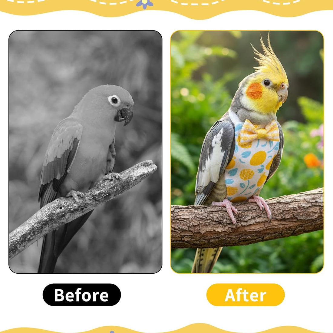 6 Pcs Bird Diapers, Parrot Diaper Reusable with Waterproof Lining