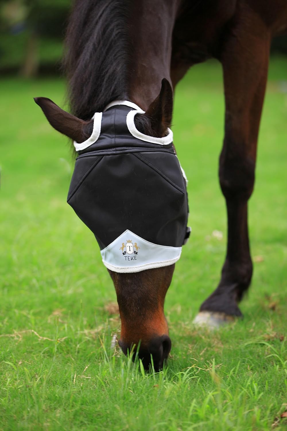 T TEKE Fine Mesh Horse Fly Mask w/No Ears