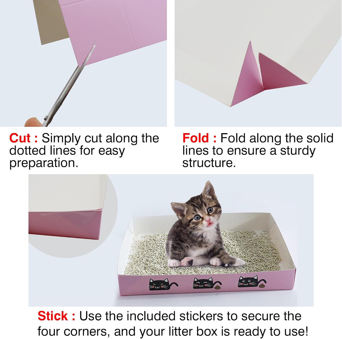 BERXOL 47PCS Kitten Essentials Starter Kit