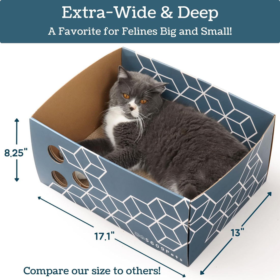 5609PETS Cat Scratching Box, Extra Large Refillable Double-Sided