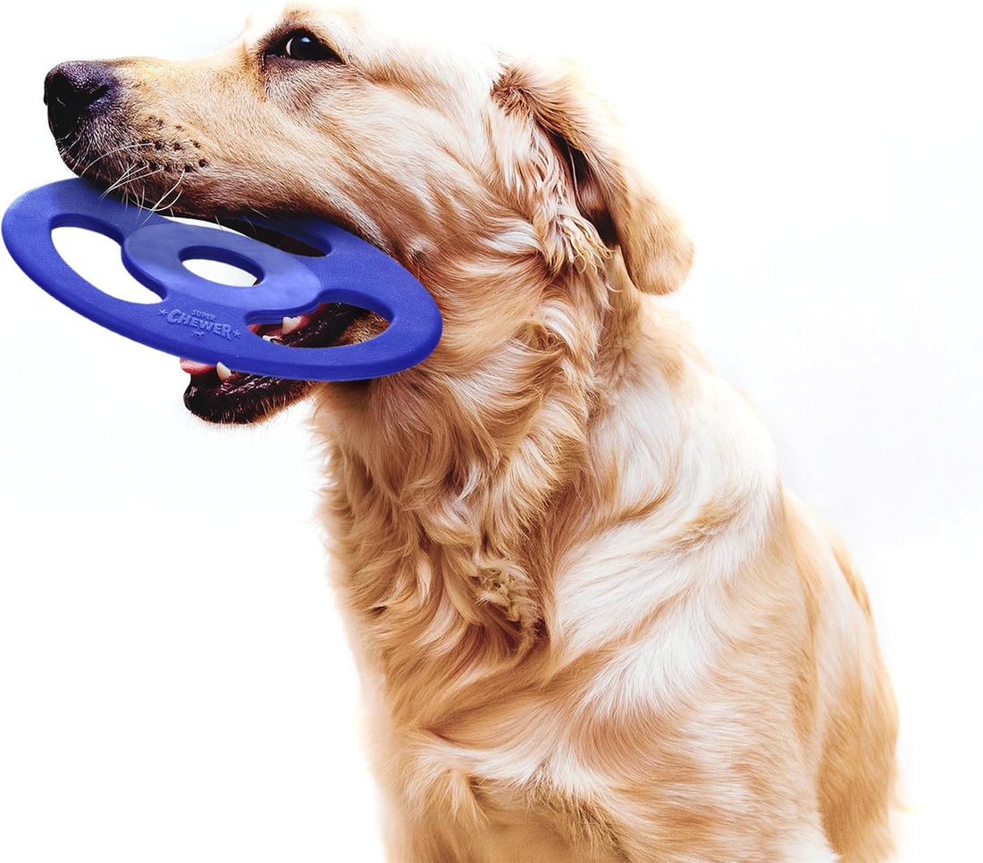 SuperChewer Tough Tug-of-War Flying Disc Toy | Lifetime Replacement
