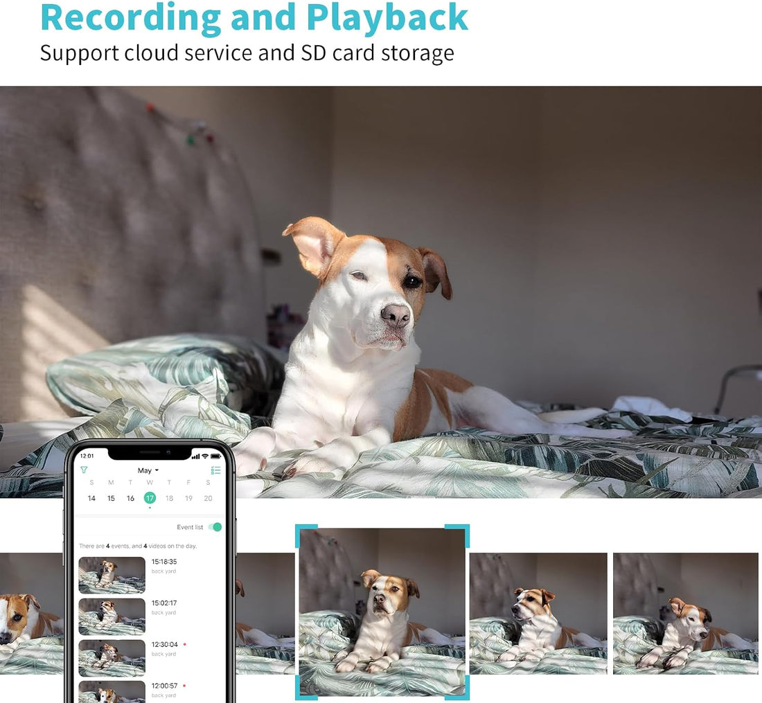 Pet Camera, 2K HD Dog Camera with Phone APP
