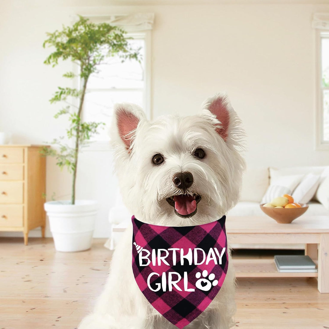 STMK Dog Birthday Bandana, Multi Sizes Dog Birthday Boy Bandana