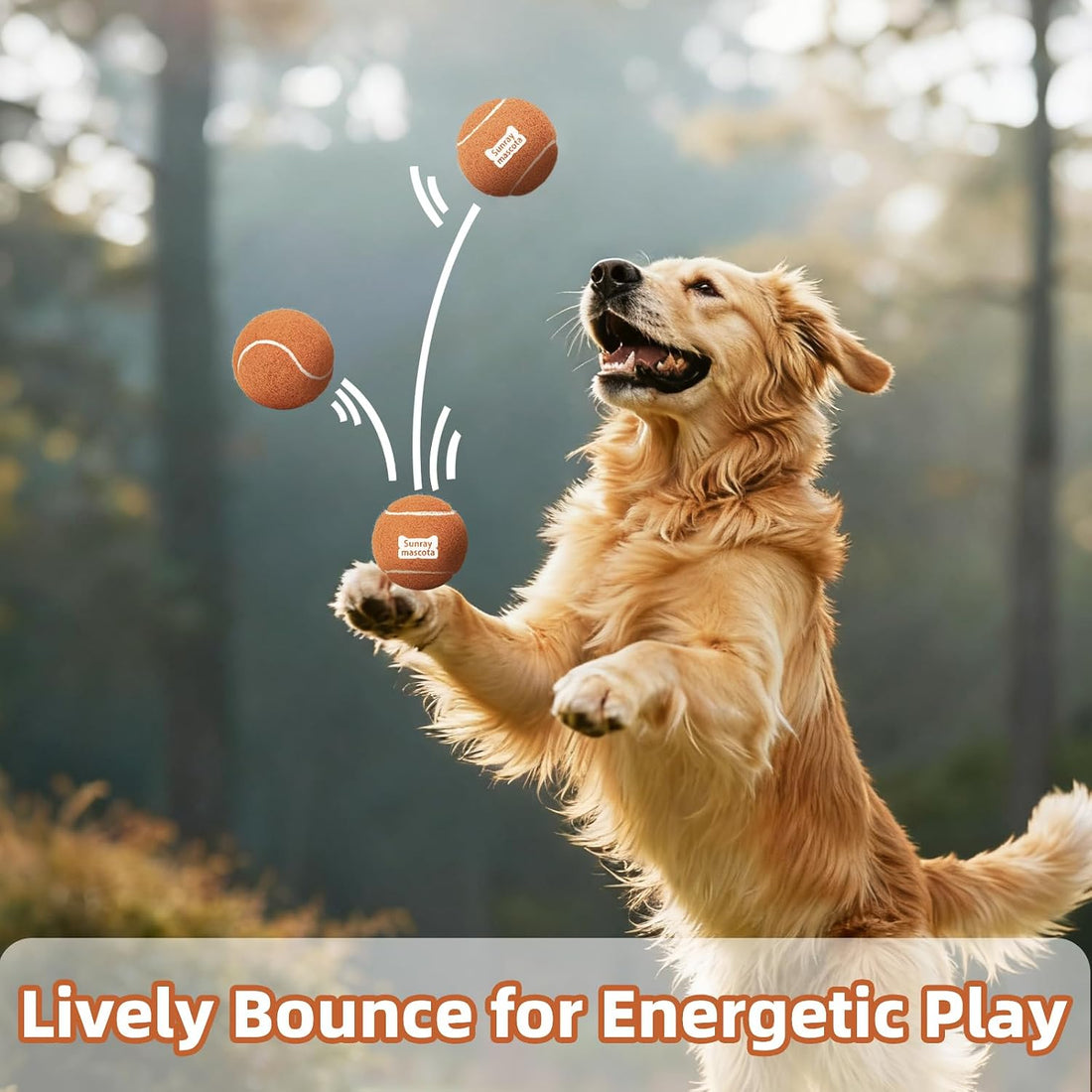 Sunraymascota 6-Pack Tennis Balls for Dogs Fetch Toys,for Beginner