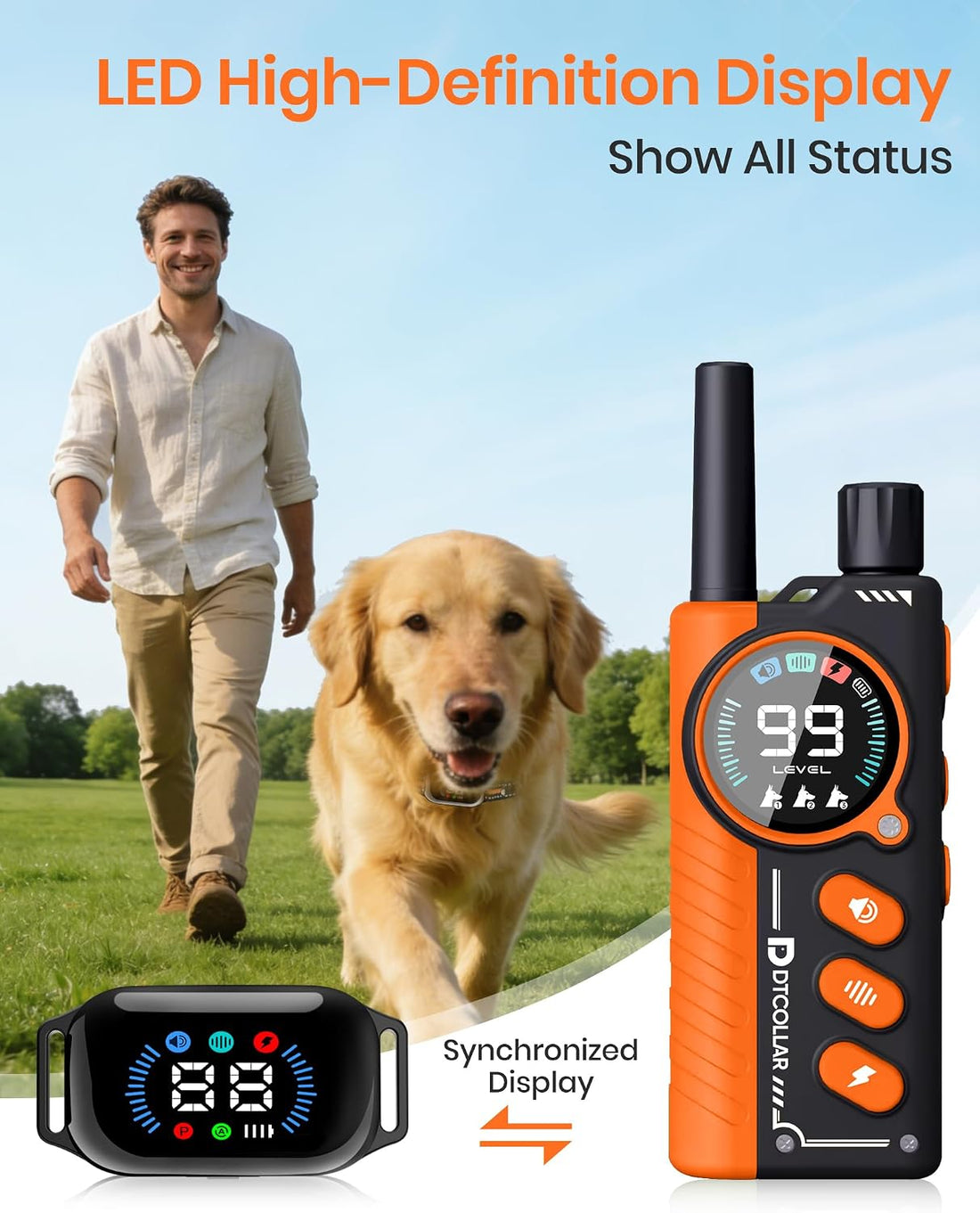 Bark & Shock Collar Combo for 2 Dogs
