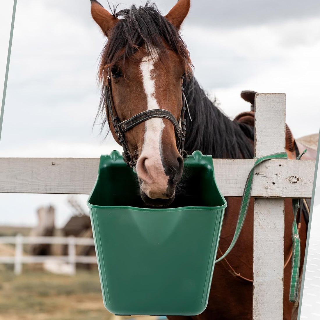4 Pcs 15 Quart Plastic Hook Over Horse Feed Bucket for Stall Fence