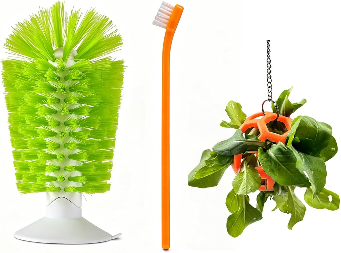 3 Pcs Turtle Tank Accessories, Tortoise Brush with Suction Cup