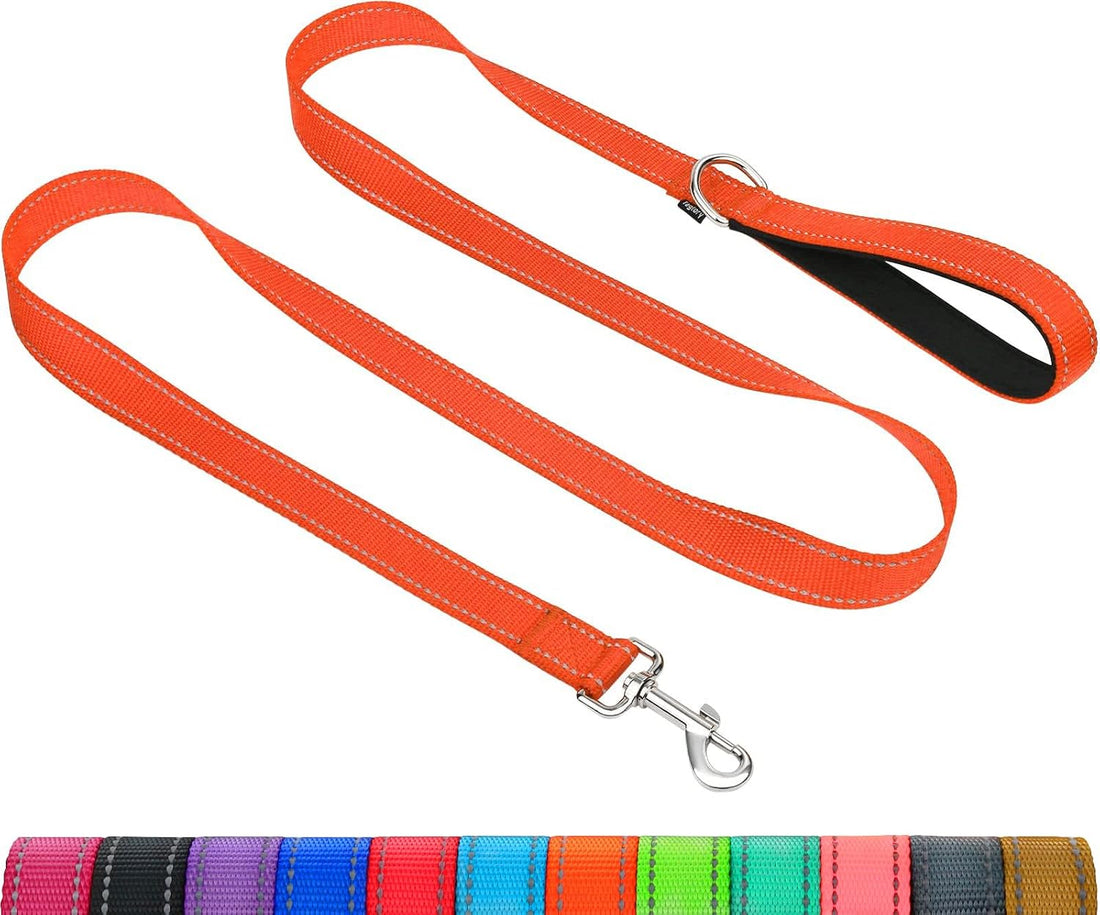 Taglory Reflective Dog Leash for Small Dogs, 3/4in x 4ft