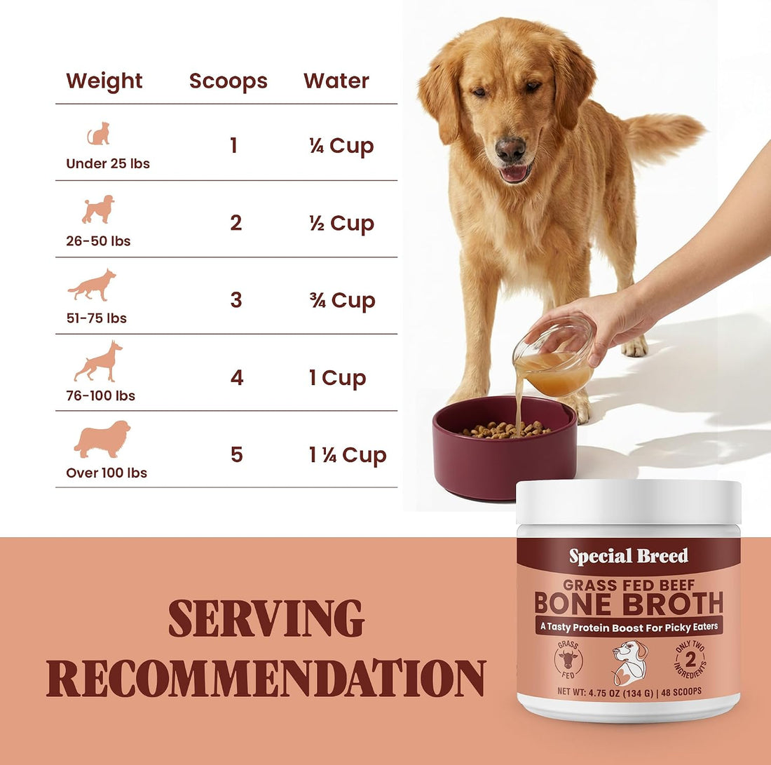 Bone Broth Powder for Dogs and Cats