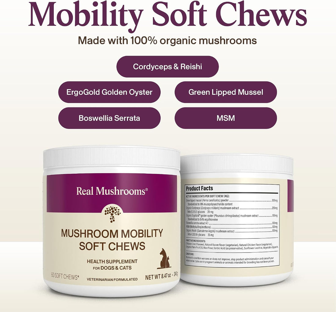 Real Mushrooms Pet Chews for Dogs & Cats