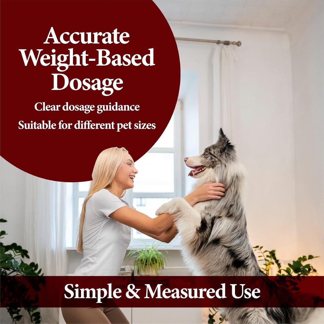 No More Tapeworms in Dogs and Puppies