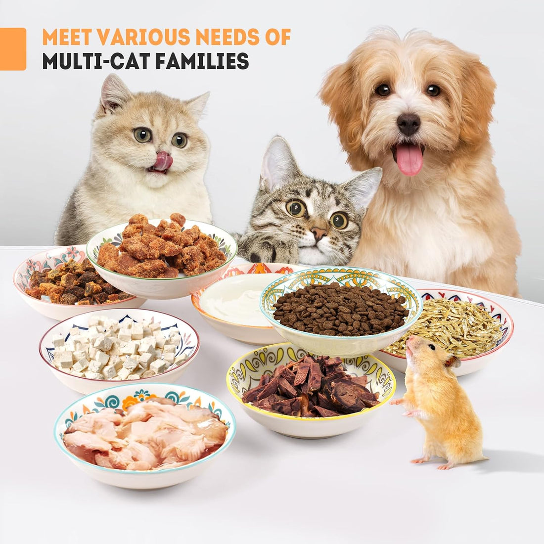YEAHGO Cat Food Bowls for Indoor Cats Ceramic Cat Bowls Whisker
