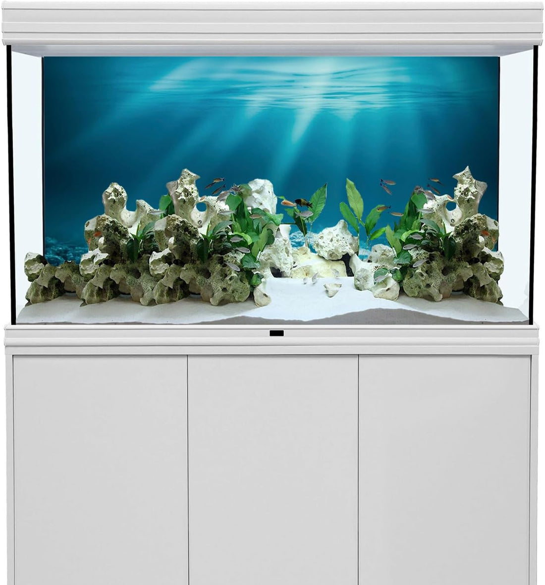 24x16 in Undersea Aquarium Backdrop Underwater World Fish Tank
