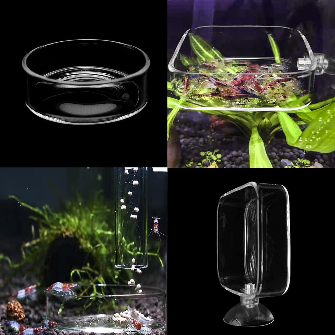 Aquarium Shrimp Feeder Dish Glass Fish Tank Feeding Bowls