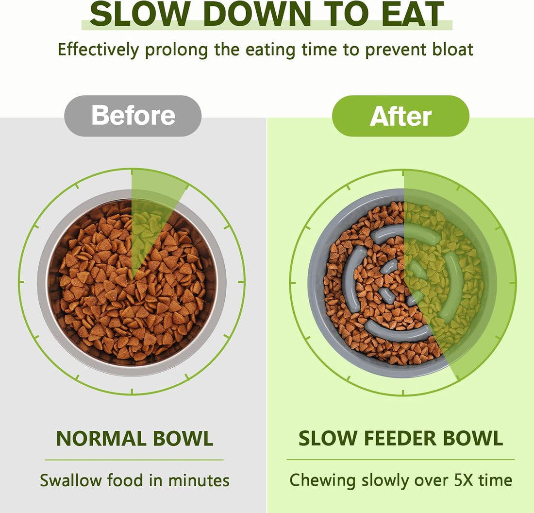 Pecute Slow Feeder Dog Bowls to Slow Down Eating