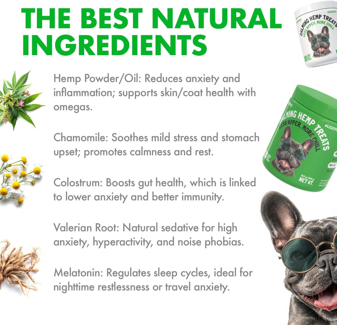 Calming Hemp Treats for Dogs Made in USA Organic Hemp Natural