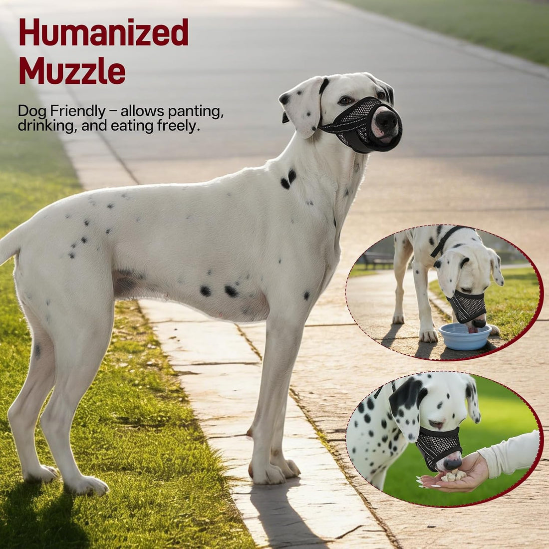 Pezluxe 2-Pack Dog Muzzle, Soft Air Mesh Muzzle Anti Biting Barking